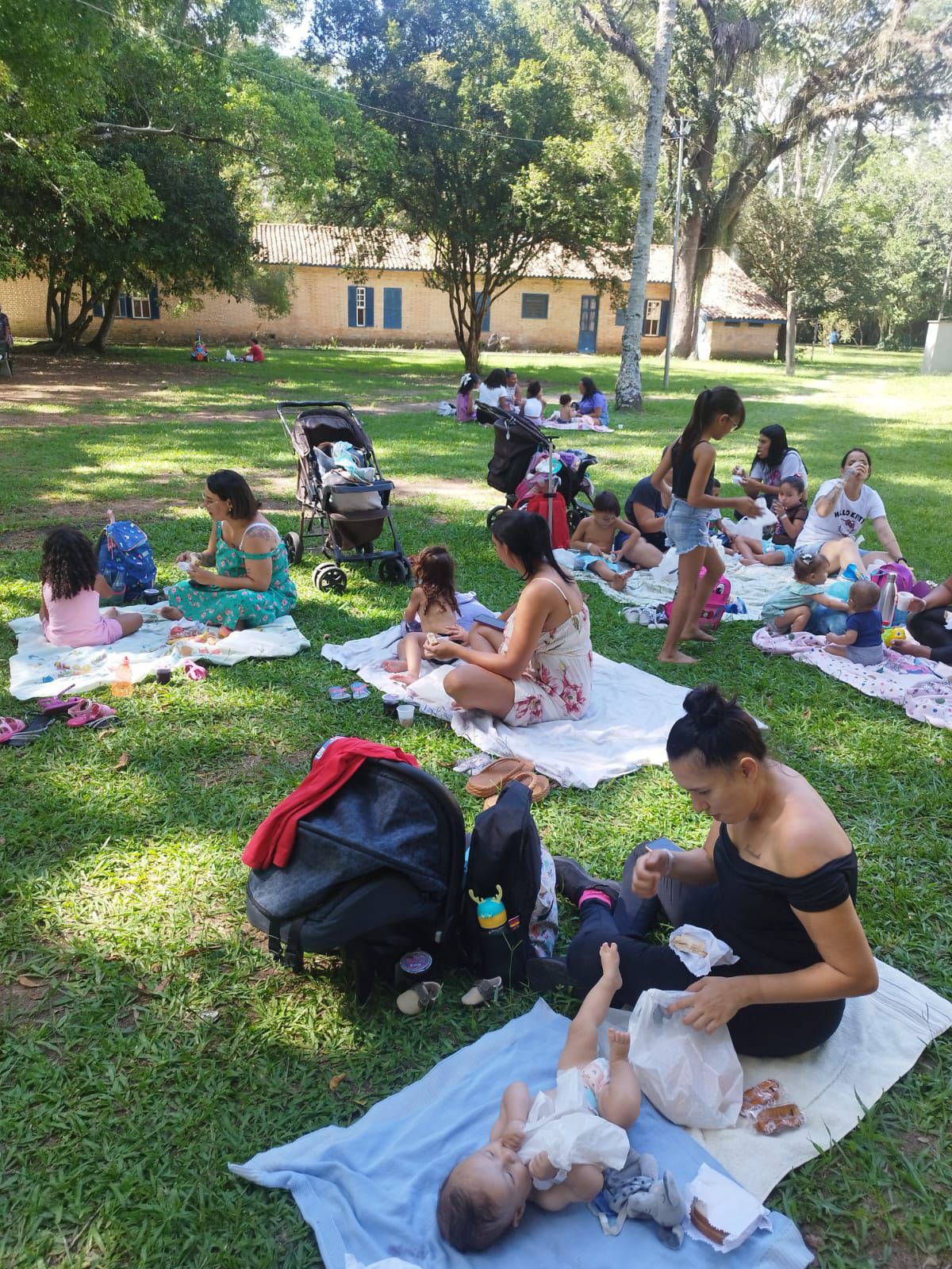 WhatsApp Image 2026-03-03 at 17.44.08 (1)