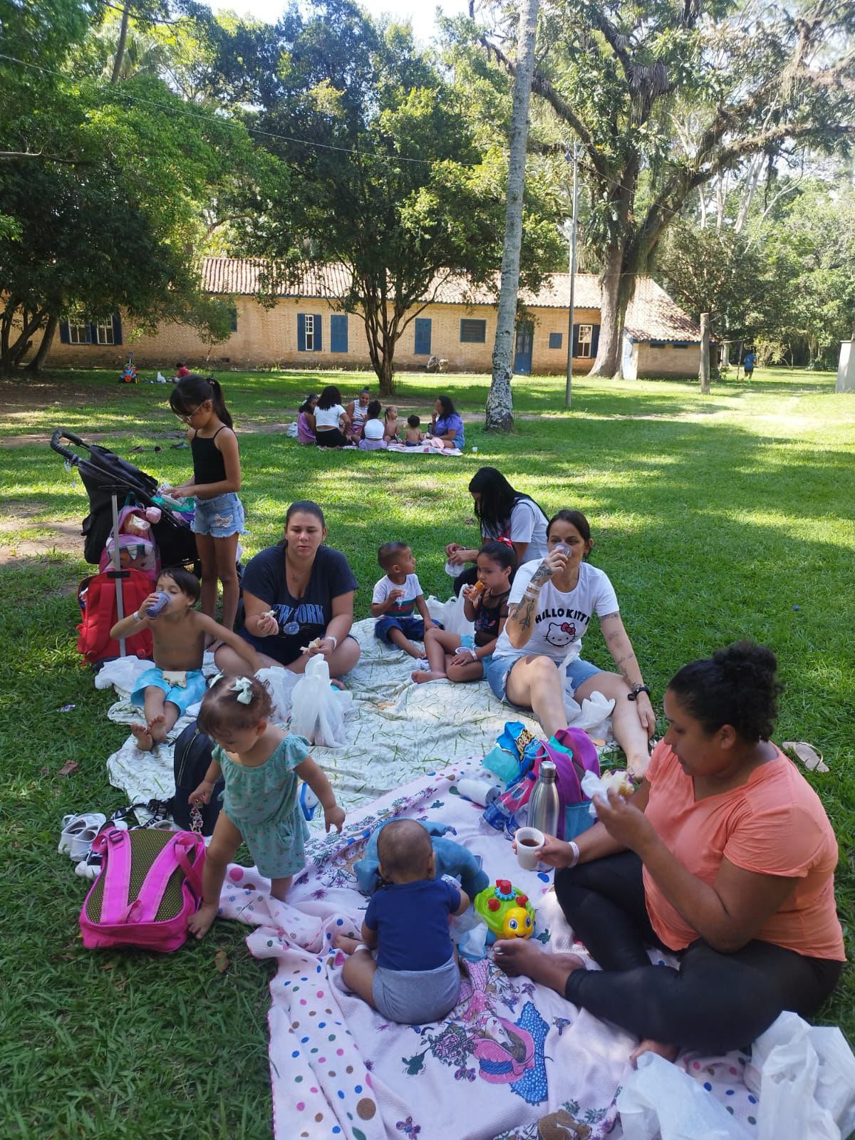 WhatsApp Image 2026-03-03 at 17.44.08 (2)